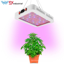 Doble interruptor BLOOM / VEG 600W LED Plant Grow Light